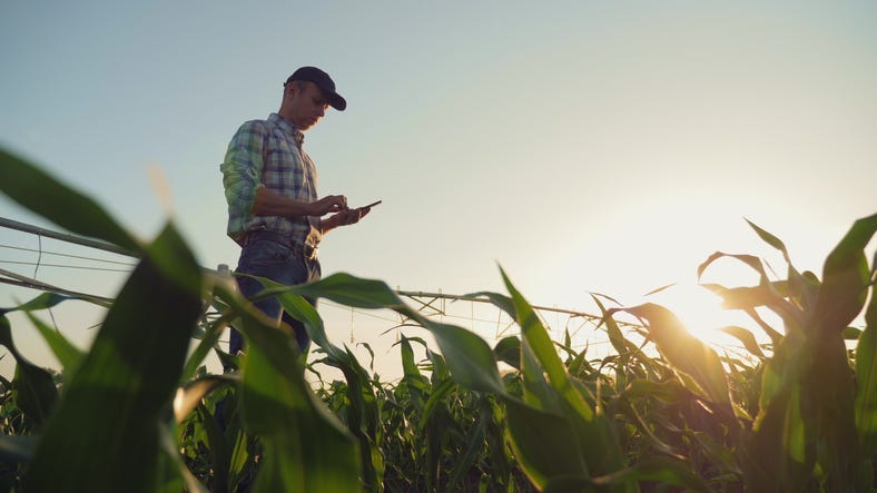 Farmer