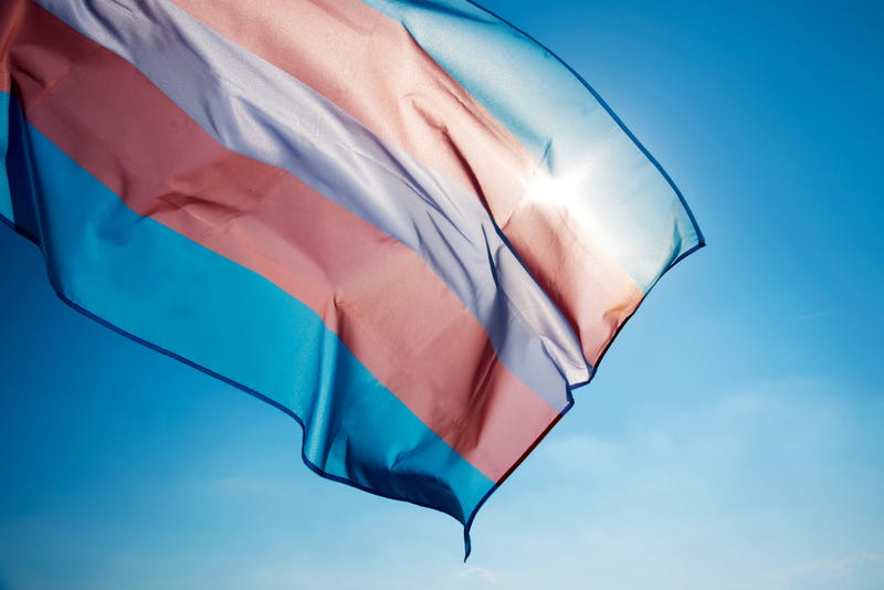 Employment Advocate Rex Wilde on Gender Inclusion in the Workplac