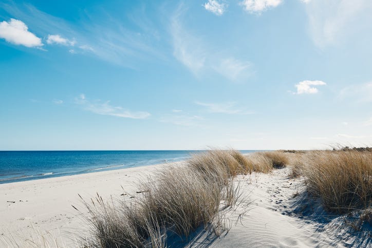 The beach