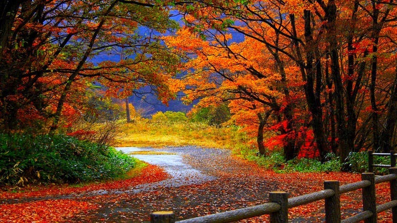 fall