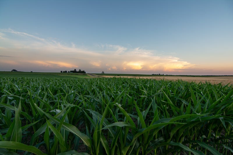 Farm