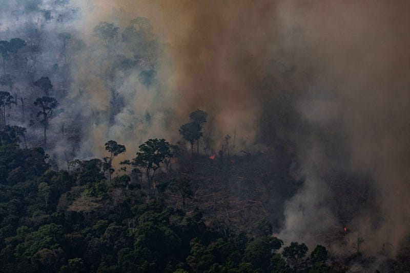 In this aerial image, a fire burns in a section of the Amazon rain forest on August 25, 2019 in the Candeias do Jamari region near Porto Velho, Brazil.