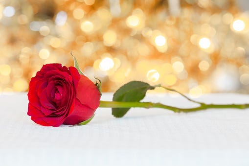 rose