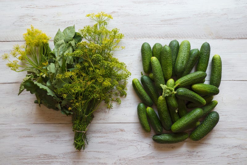 Dill, Flowers, and Cucumbers
