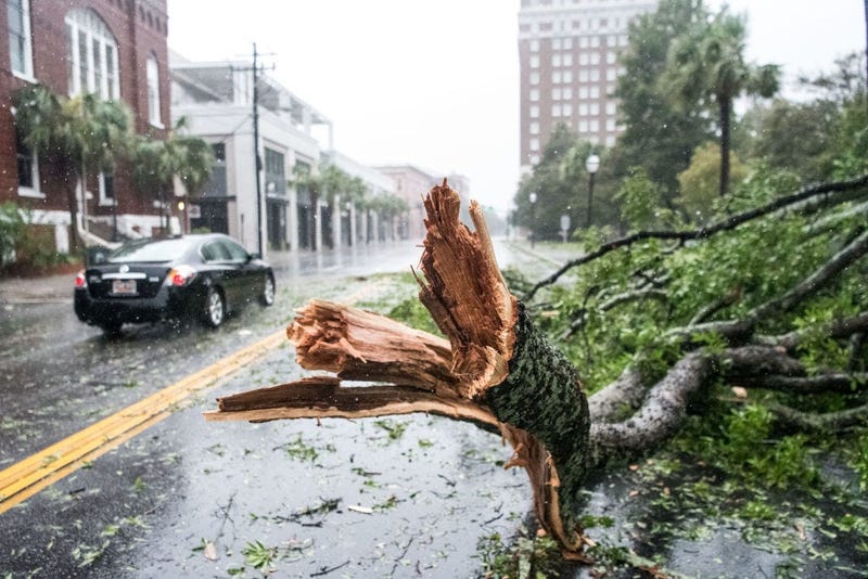 A car rives around a fallen tree branch on Calhoun St on September 4, 2019 in Charleston, South Carolina. Hurricane Dorian is just off coast of South Carolina.