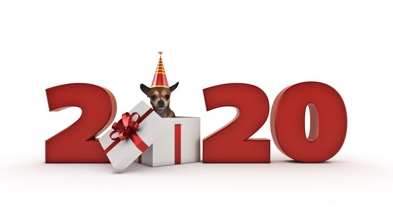2020-dog-GettyImages-1166709545.jpg