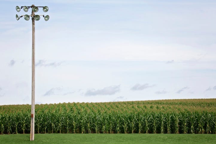 field of dreams