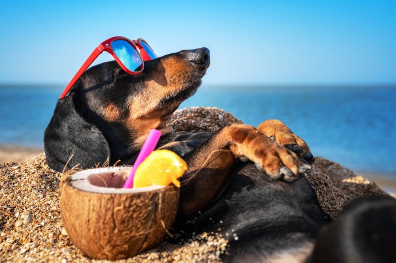 summer
