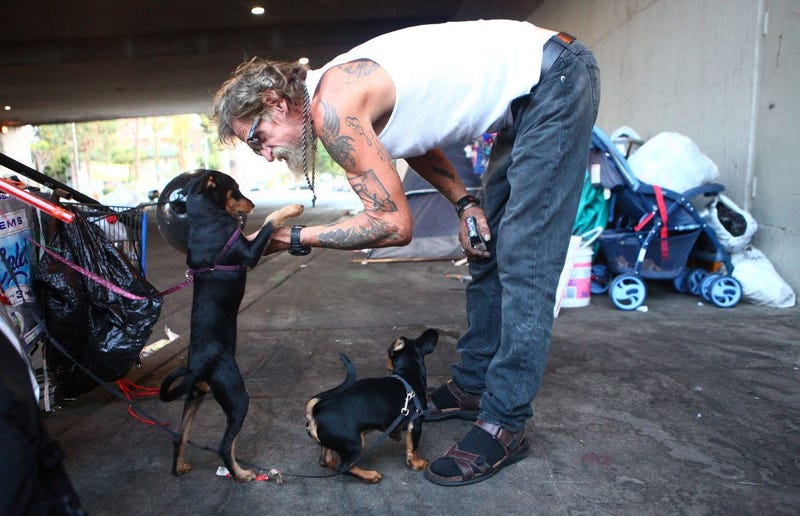 Antonio DeSilva, who is currently homeless, plays with his dogs outside his tent on September 09, 2019 in Los Angeles, California.