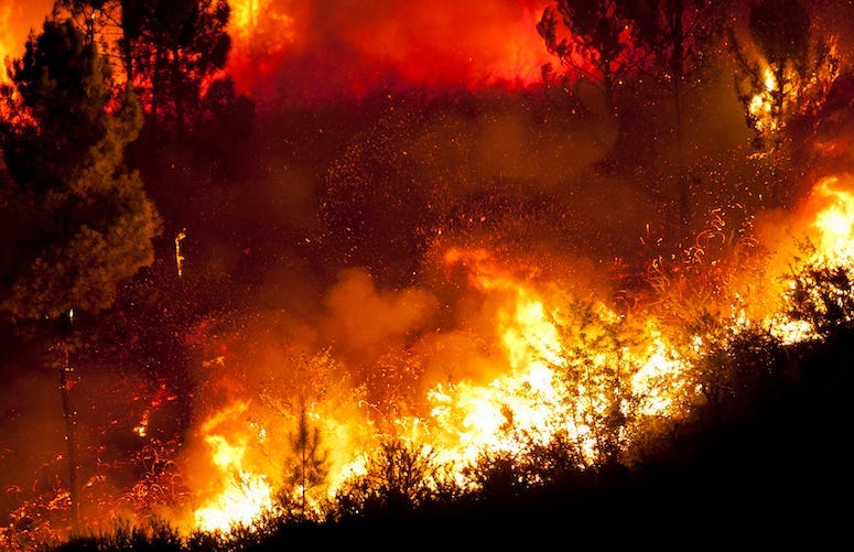 wildfire