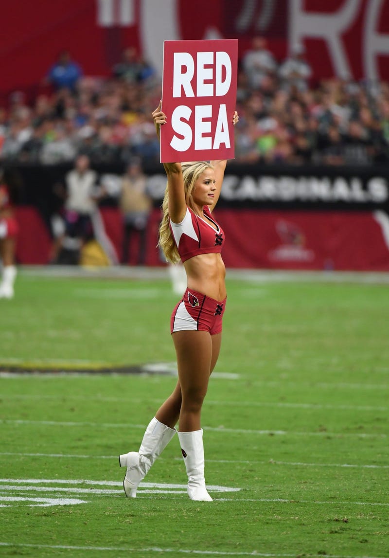 GLENDALE, ARIZONA - SEPTEMBER 29: An Arizona Cardinals cheerleader holds up a Red Sea sign during a stop in play during the second half of a game against the Seattle Seahawks at State Farm Stadium on September 29, 2019 in Glendale, Arizona. Seahawks won 2