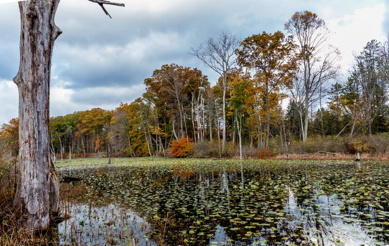 oxbow lagoon North Chagrin nature reservation Ohio metroparks