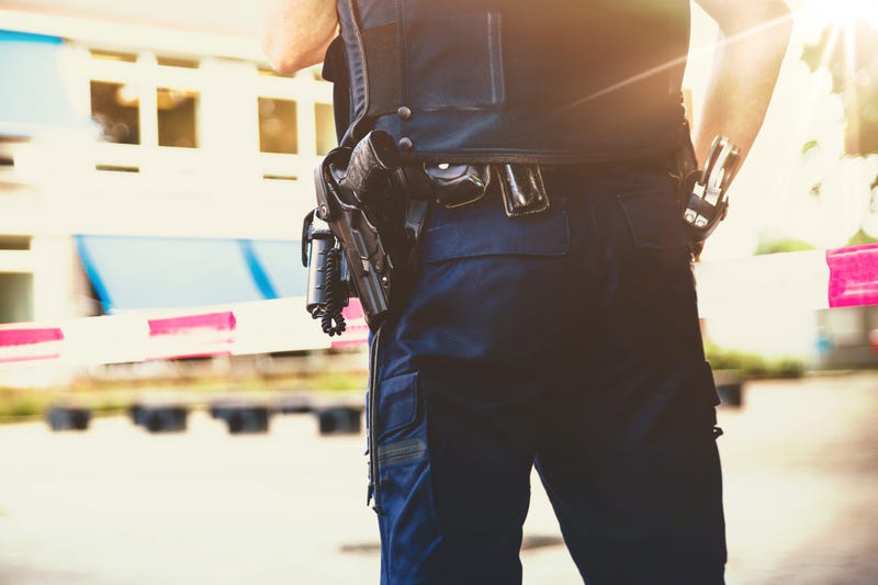 Police in school
