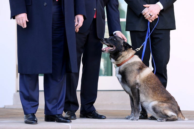 Conan at the White House
