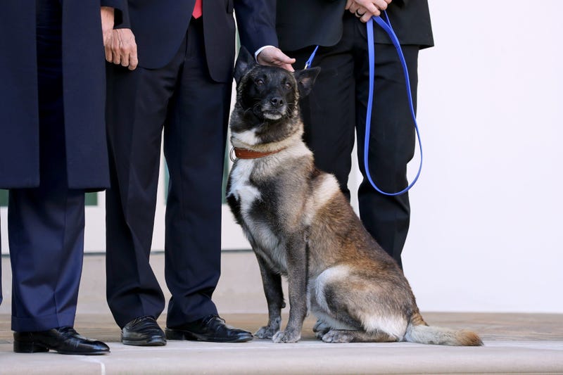 Conan at the White House