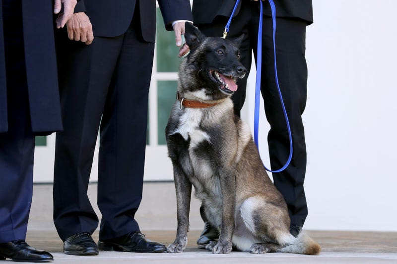 Conan at the White House