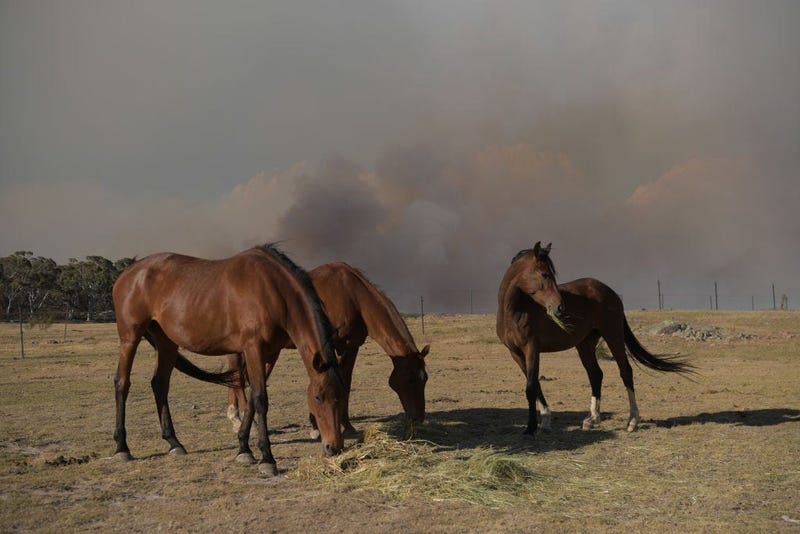Australia fire