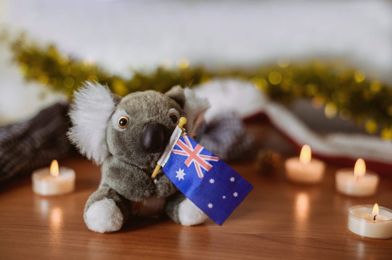 Koala