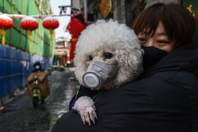 A woman and her dog, both with masks to protect against the coronavirus