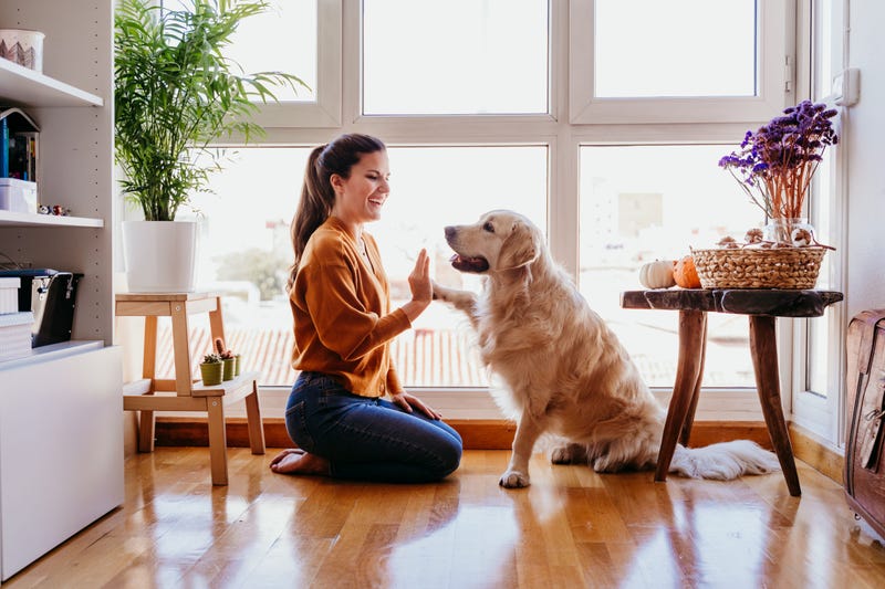 iStock / Getty Images