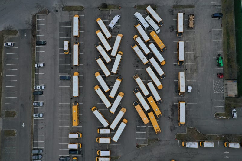 School Buses