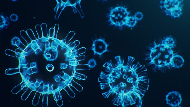 Coronavirus inside a human