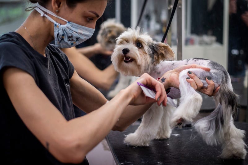 Illinois Pet Groomers Prepare To Reopen