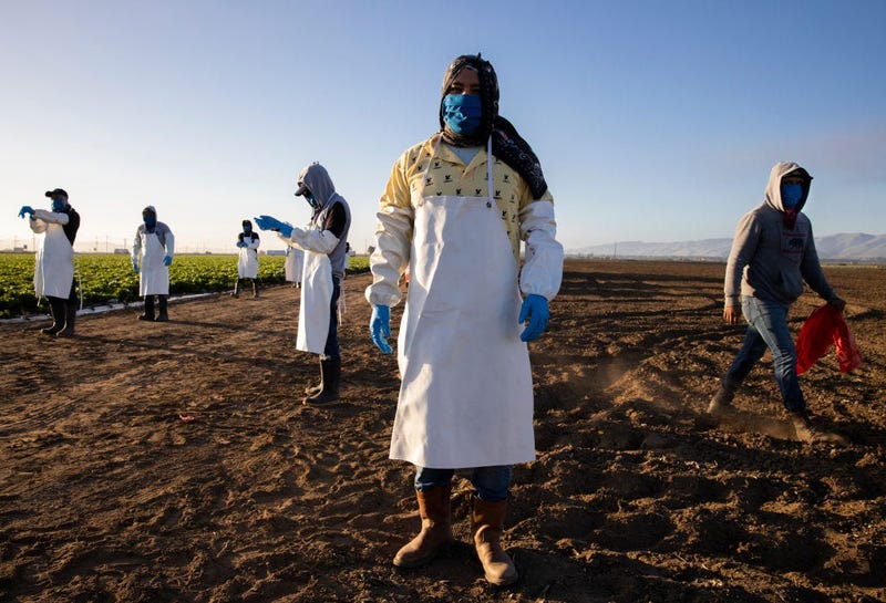 California farmworkers (GETTY)