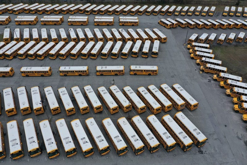 School Buses