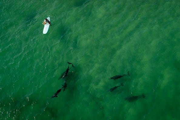 Brook Mitchell / Stringer Editorial #: 1213988102 Collection: Getty Images News Date created: March 22, 2020