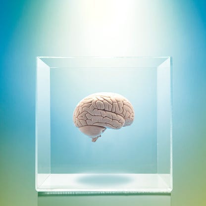 brain