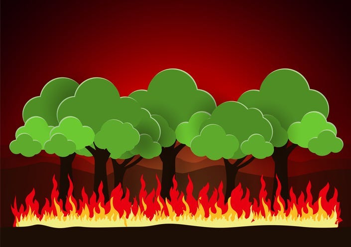 Wildfire Safety