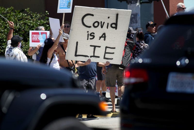 Protesters hold banners and chant against state government measures intended to defend against the COVID-19 virus