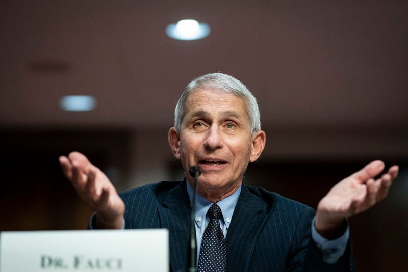 Dr. Anthony Fauci, director of the National Institute of Allergy and Infectious Diseases, speaks during a Senate Health, Education, Labor and Pensions Committee hearing 