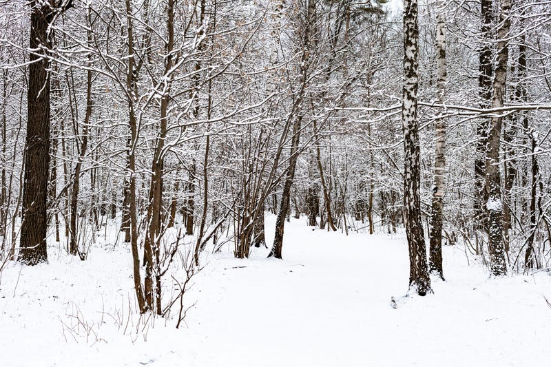 Cleveland Metroparks