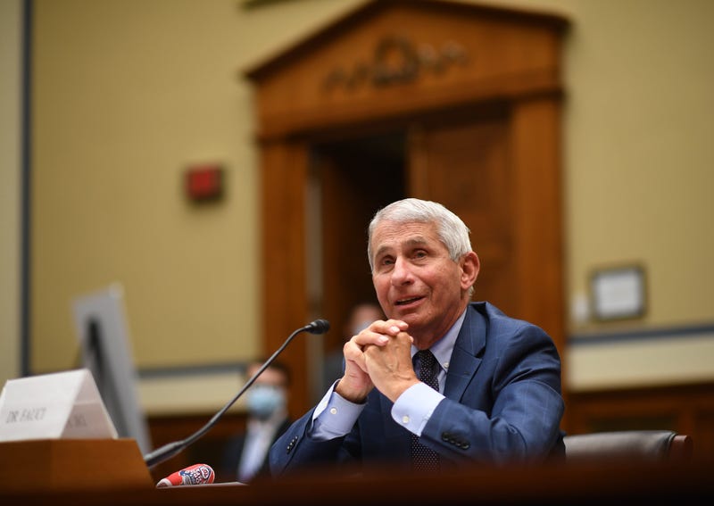 Dr. Anthony Fauci, director of the National Institute for Allergy and Infectious Diseases, testifies before a House Subcommittee on the Coronavirus Crisis hearing on July 31, 2020 in Washington, DC. 