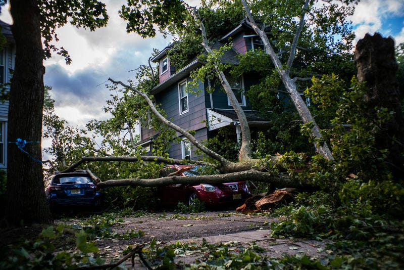 Isaias Storm Damage