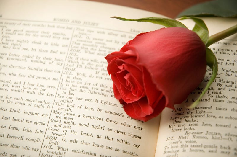 Rose on Romeo & Juliet book