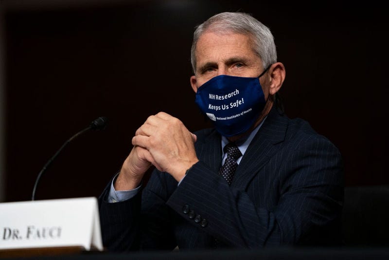 Dr. Anthony Fauci, director of the National Institute of Allergy and Infectious Diseases, testifies at a hearing of the Senate Health, Education, Labor and Pensions Committee on September 23, 2020 in Washington, DC.