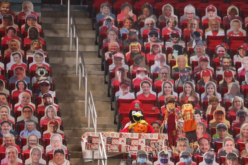 Cardboard Nation