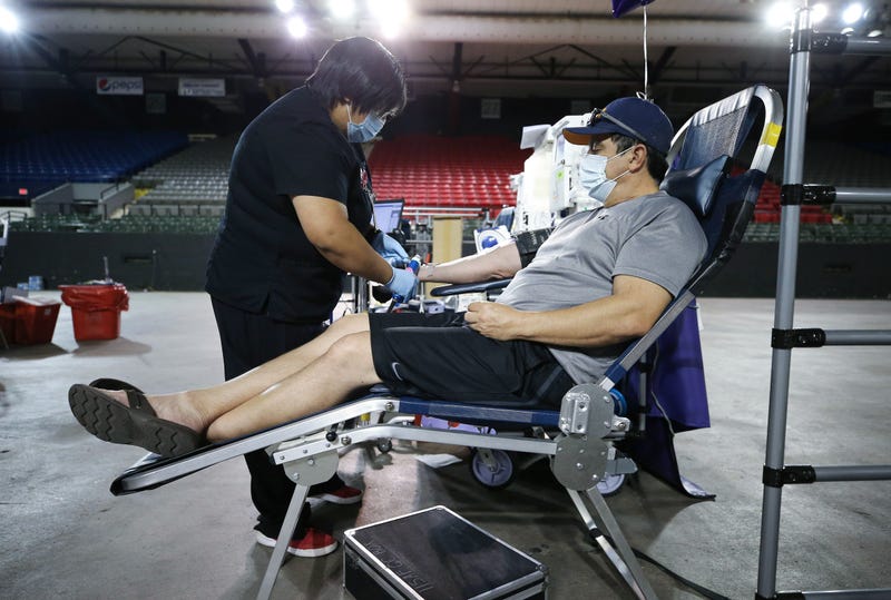 blood donor