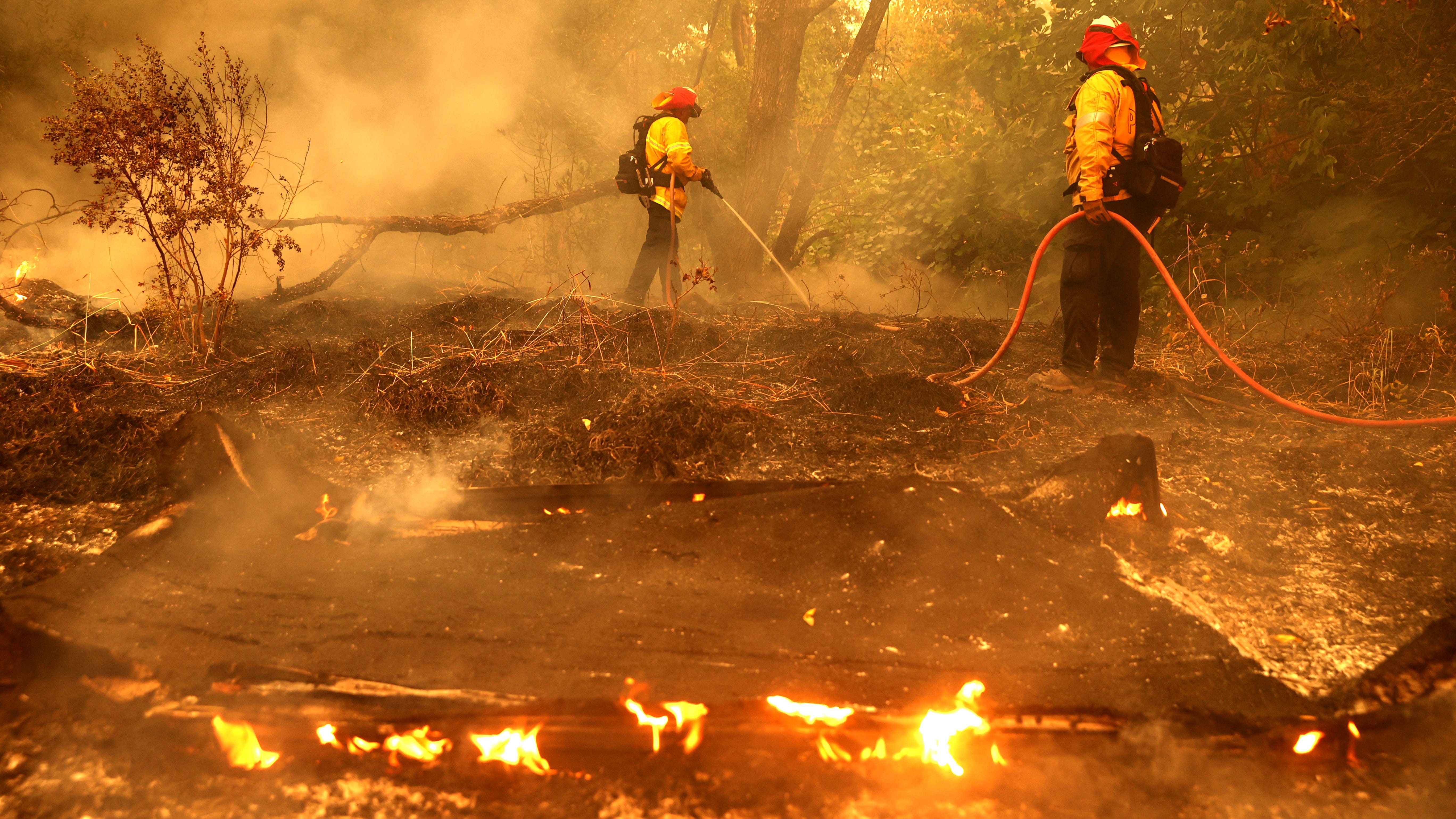 Tom Steyer Reviews CA Wildfire Response From Biden, Trump