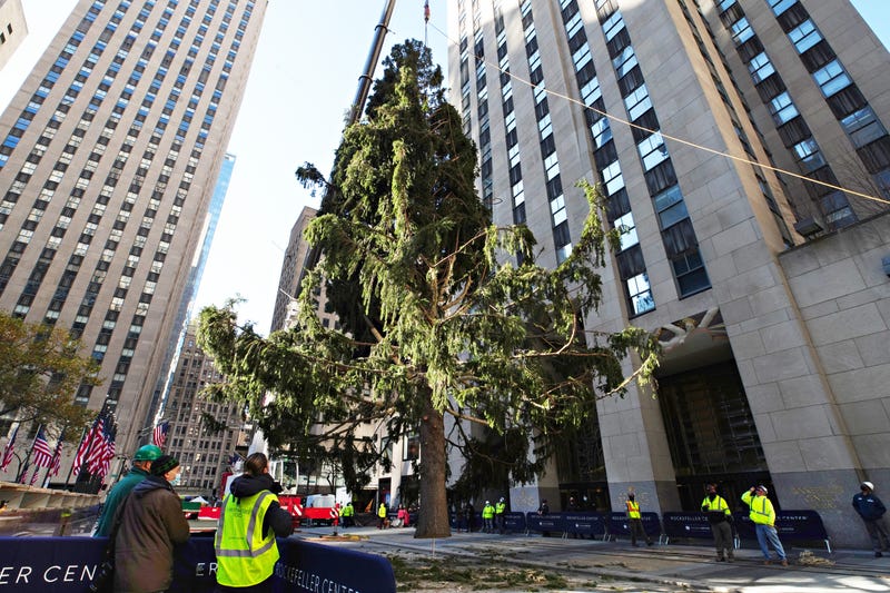 ROCKEFELLER CENTER CHRISTMAS TREE 