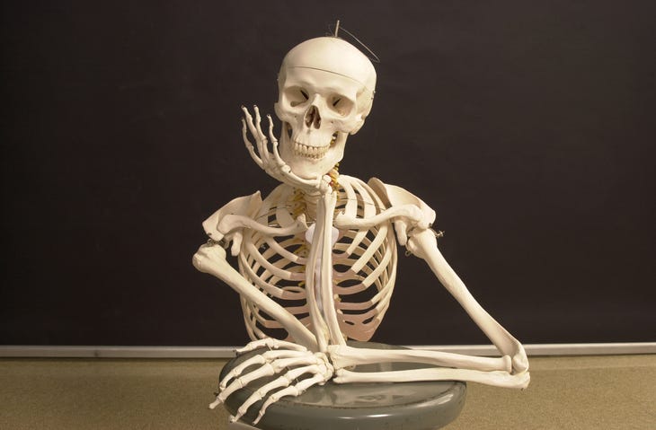 skeleton