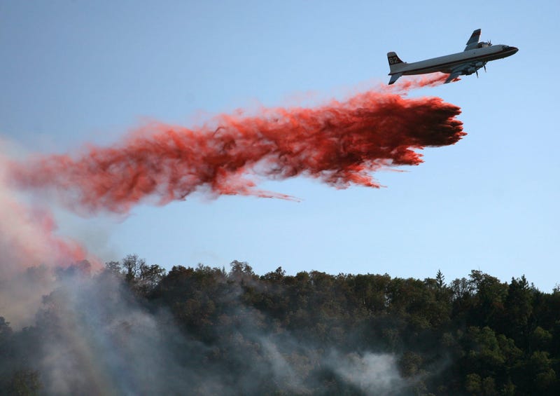 Wildfire1