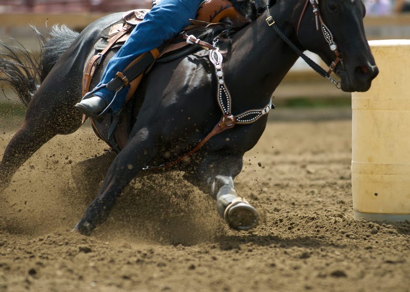 Rodeo 