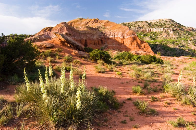Palo Duro Canyon State Park