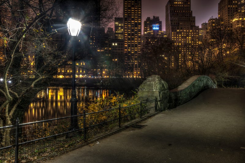 Central Park at night
