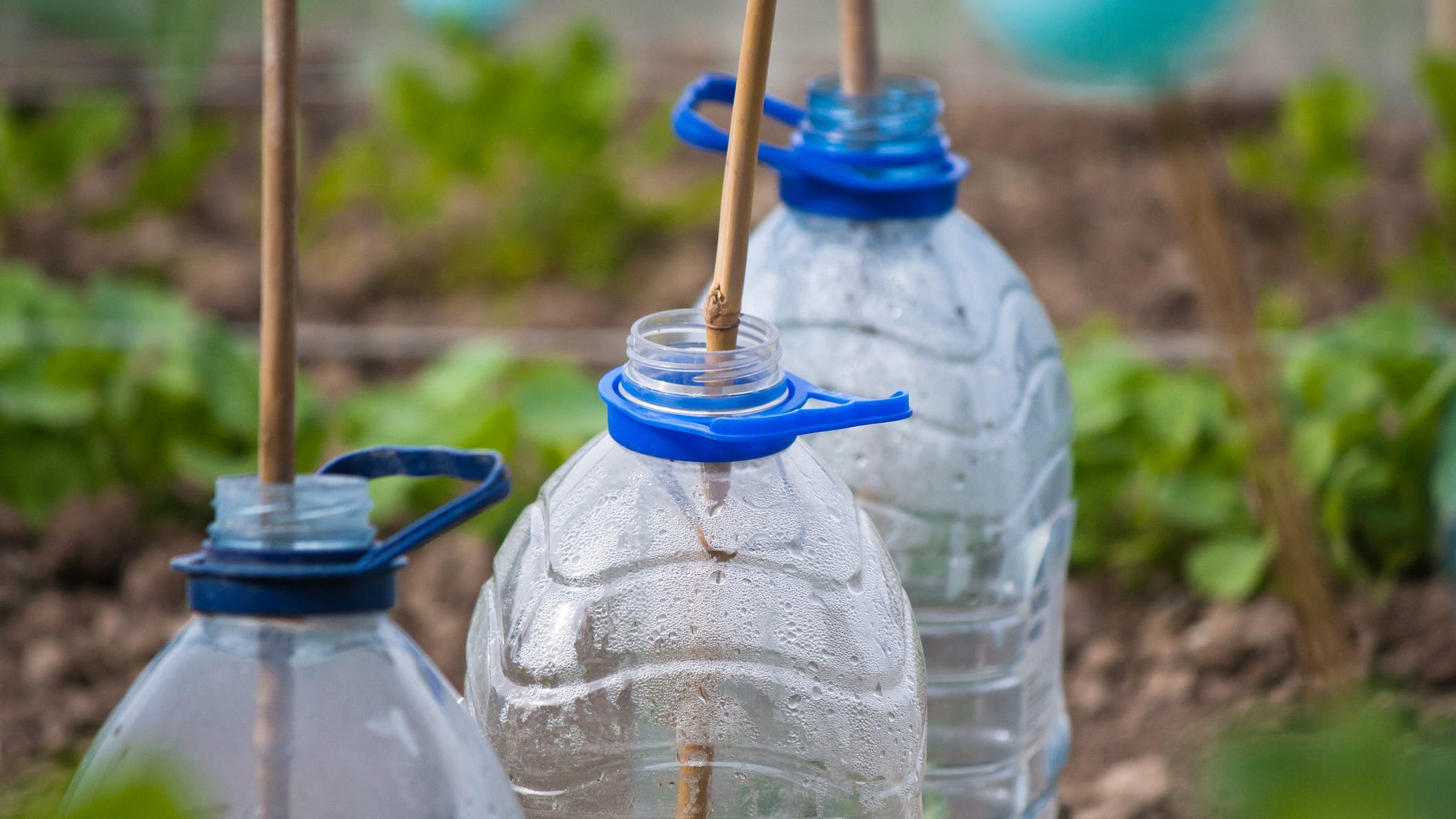 5 Fun Ways to Repurpose Recyclables for Your Garden or Yard