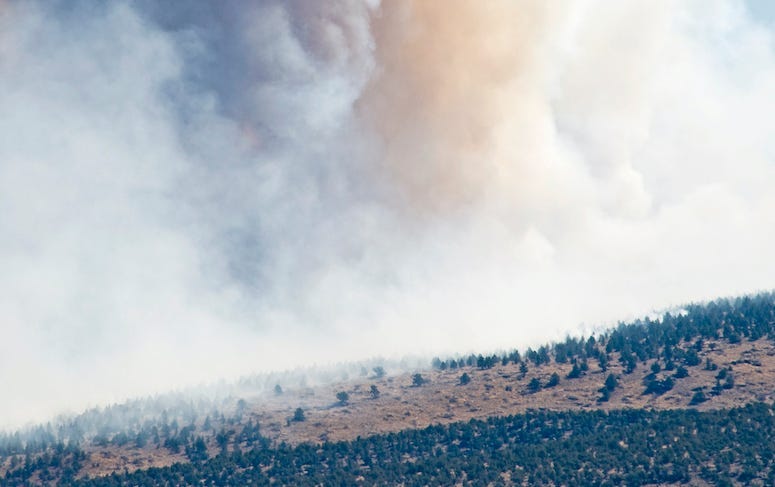 wildfires